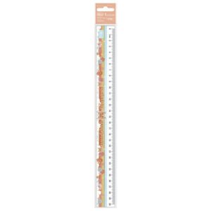 Régua 30cm – Gypsy - Tilibra
