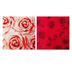 Saco de Presente - 20x29 - Rosas - Cromus