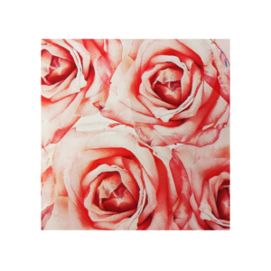 Saco de Presente - 35X54 - Rosas - Cromus